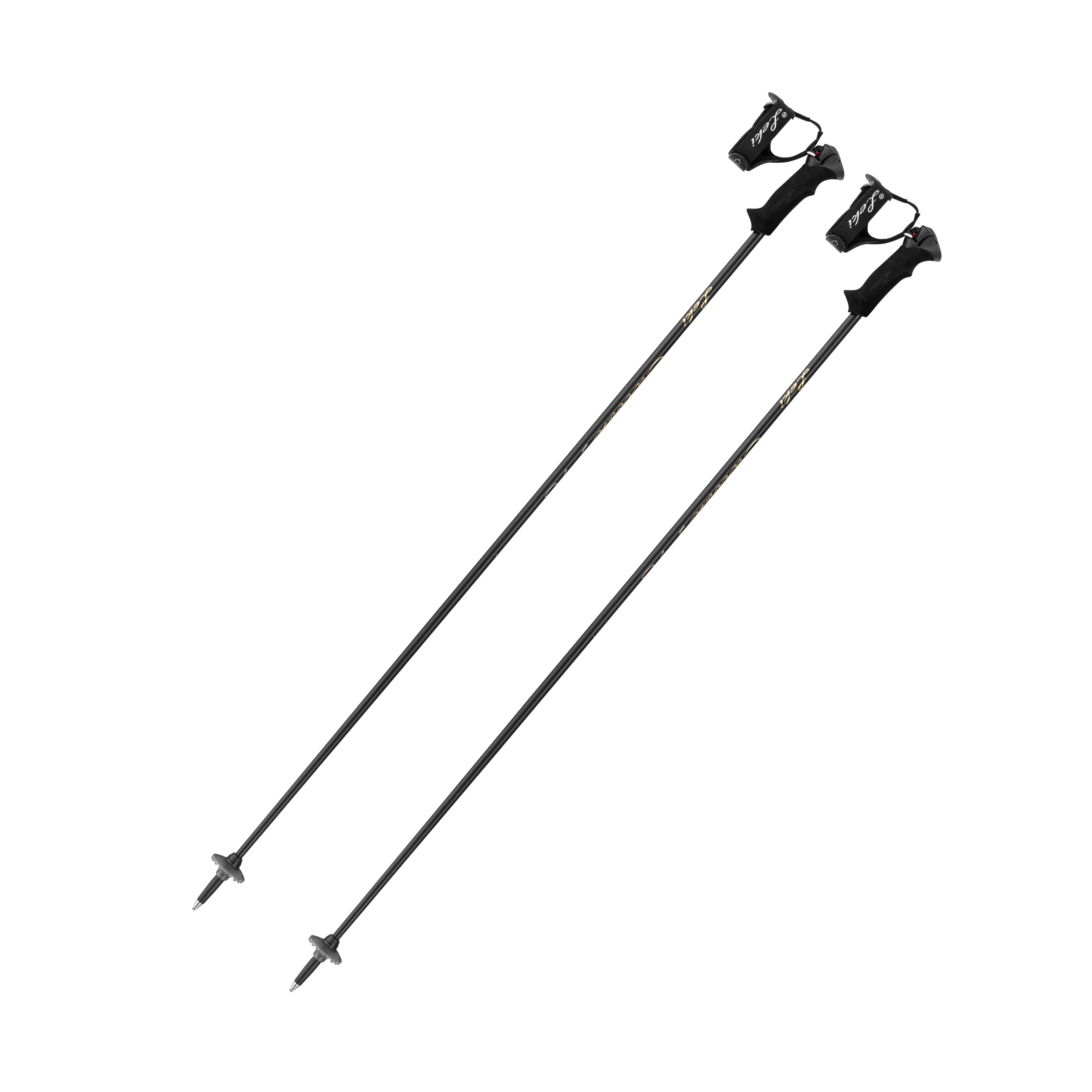 Trekking Poles